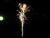 Silvestr 07 051
